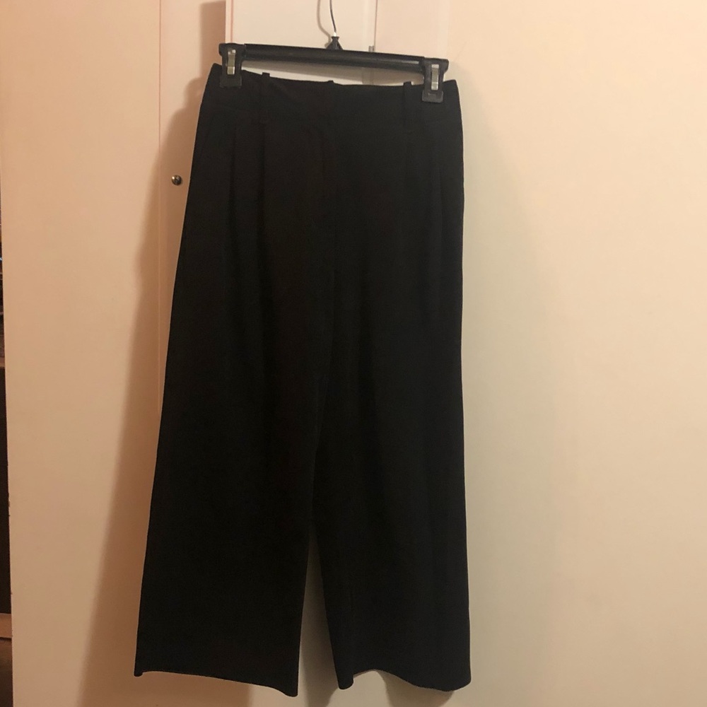 Aritzia pant